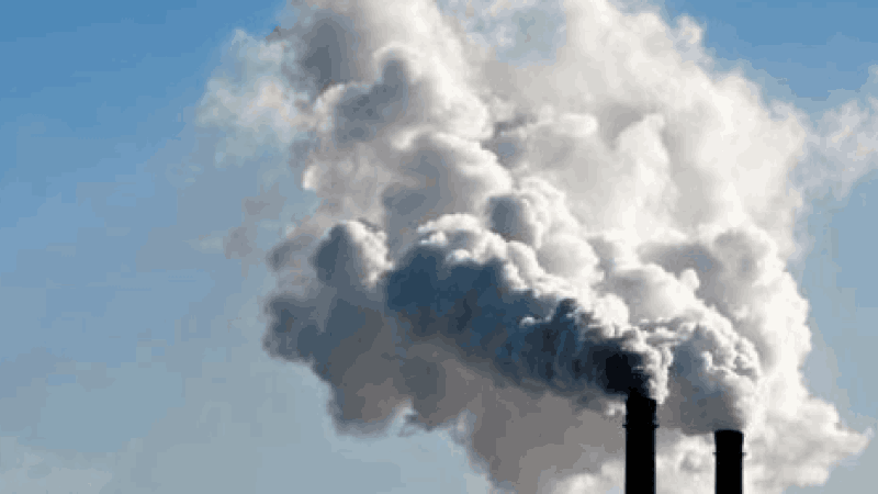 गोव्यात दर ३ महिन्यांनी होते ११ अतिप्रदूषित औद्योगिक युनिट्सची तपासणी