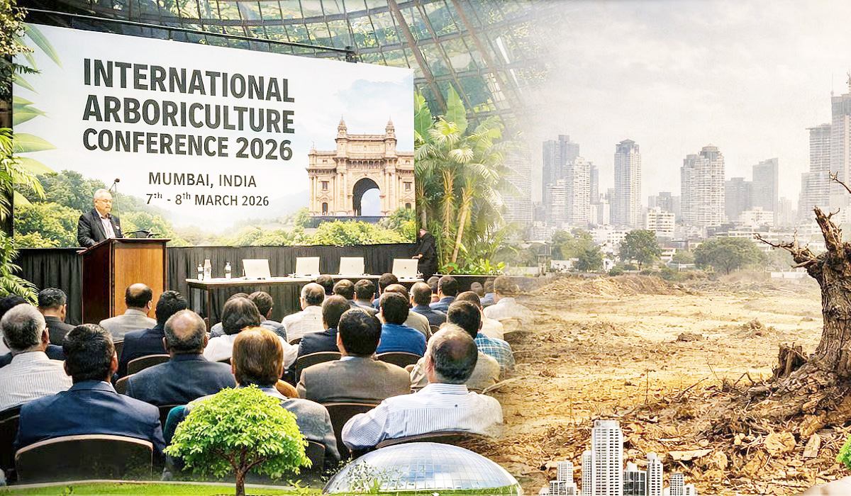 वाढत्या शहरांना हवे आहे हिरवे छत्र