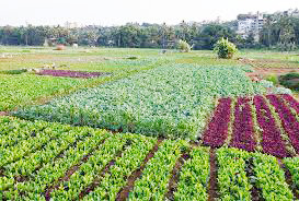 शेतकऱ्यांनी आव्हान स्वीकारावे