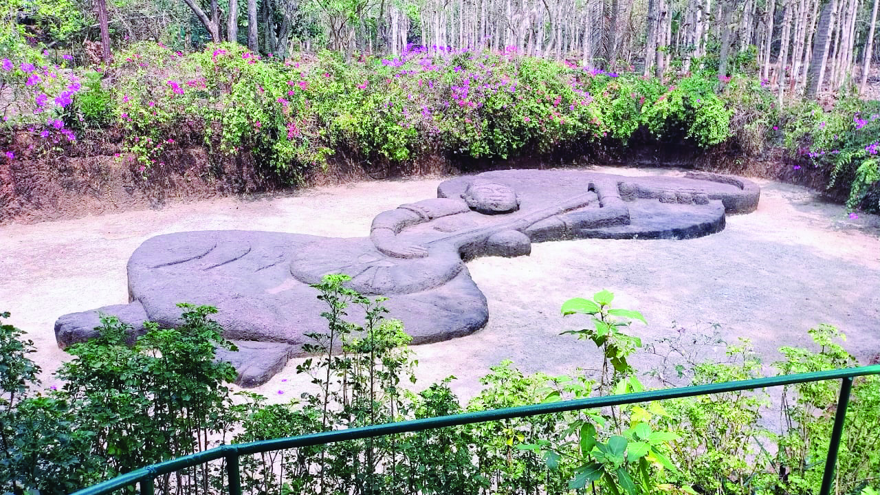 'बिग फूट'प्रमाणे आणखीही संस्कृती जतन केंद्रे हवी