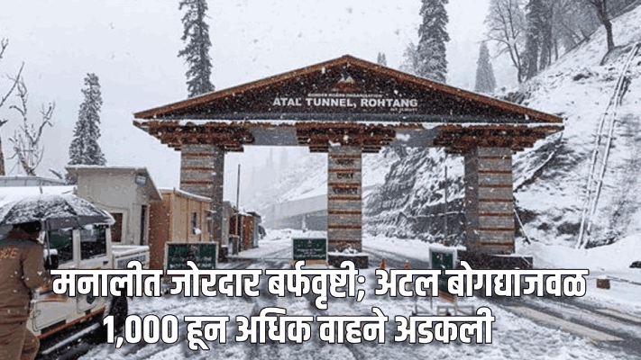 मनालीत जोरदार बर्फवृष्टी; अटल बोगद्याजवळ १,००० हून अधिक वाहने अडकली