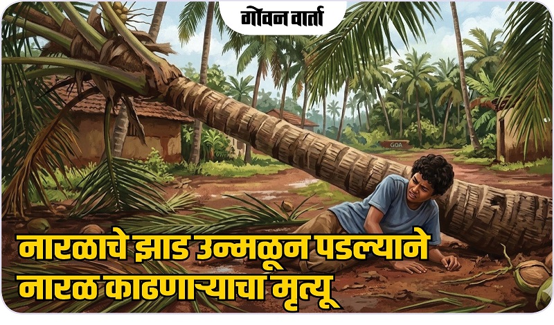 नारळाचे झाड उन्मळून पडल्याने नारळ काढणाऱ्याचा मृत्यू