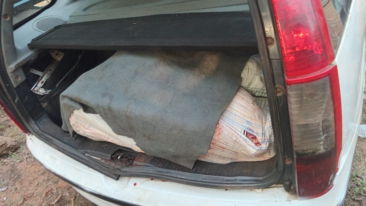 केरी चेकपोस्टवर ३०० किलो बेकायदेशीर गोमांस जप्त