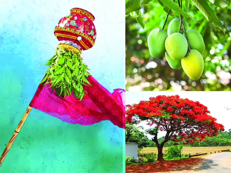 सण-उत्सवांची  गुढी : चैत्र