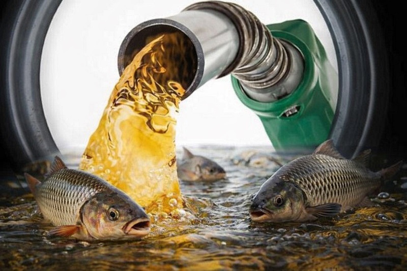 गोवा : हायस्पीड डिझेलचे दर कडाडले