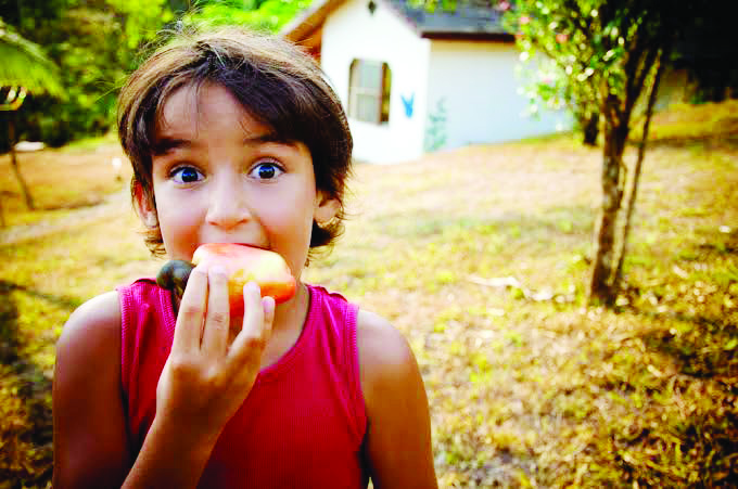 उन्हाळा आणि आठवणींची लयलूट