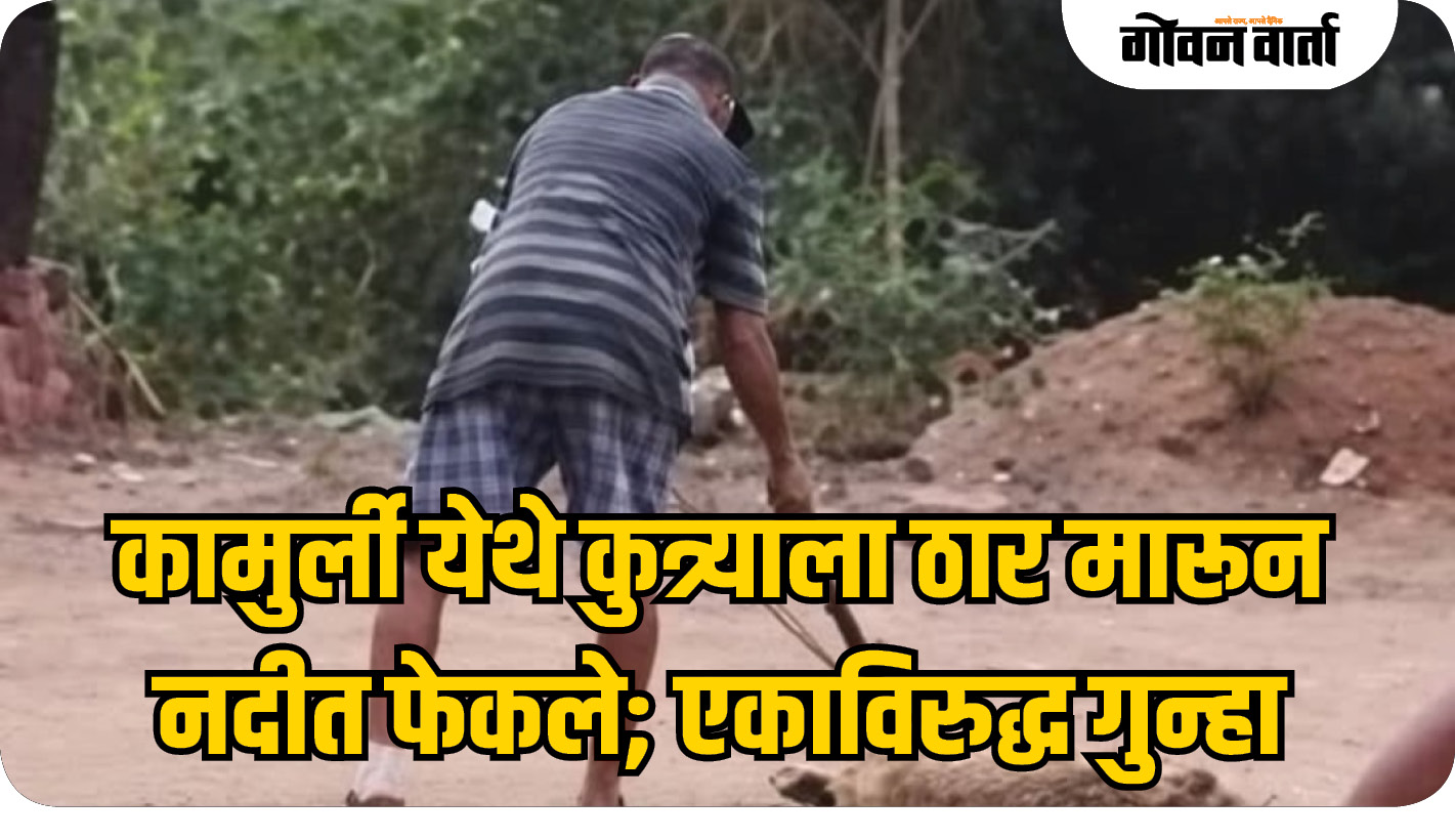 कामुर्ली येथे कुत्र्याला ठार मारून नदीत फेकले; एकाविरुद्ध गुन्हा