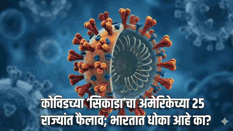 कोविडच्या ‘सिकाडा’चा अमेरिकेच्या २५ राज्यांत फैलाव; भारतात धोका आहे का?