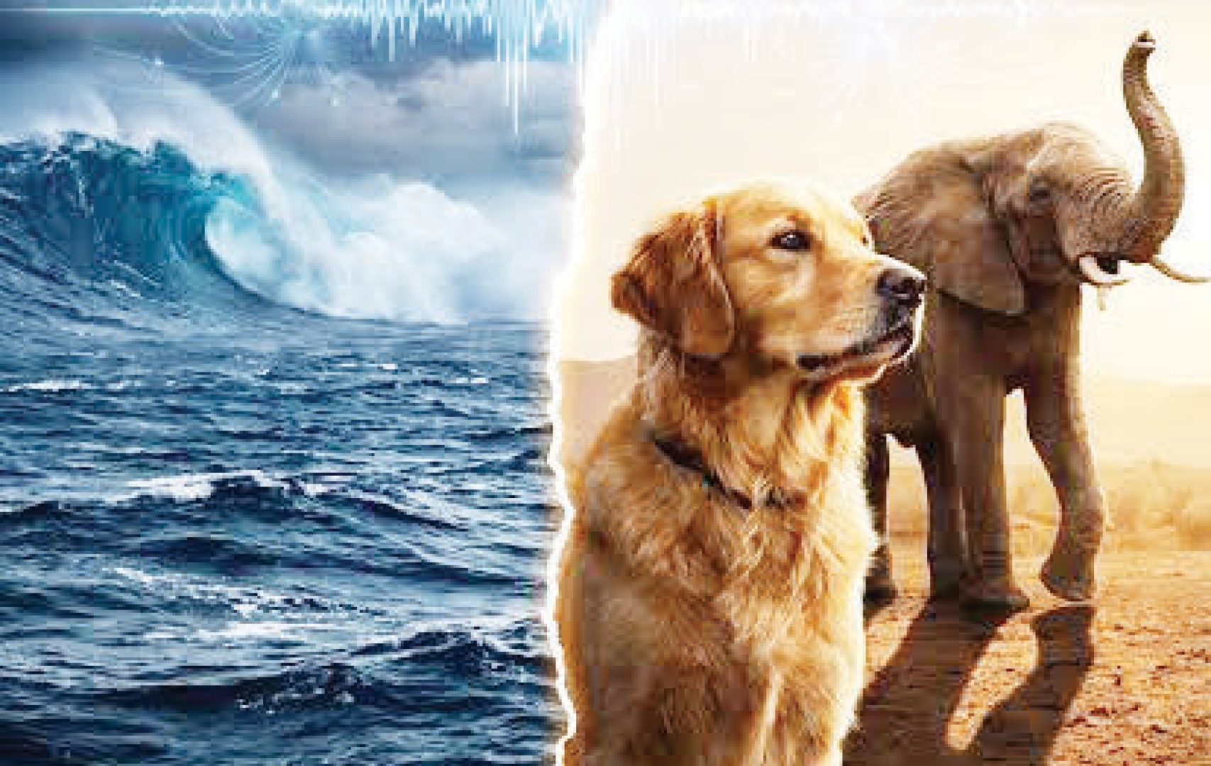 निसर्गाचे सुरक्षा रक्षक:  प्राणी आणि  नैसर्गिक आपत्तींचे पूर्वाभास