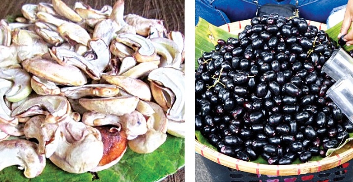 पणजी बाजारात रानमेव्याला सोन्याचे मोल