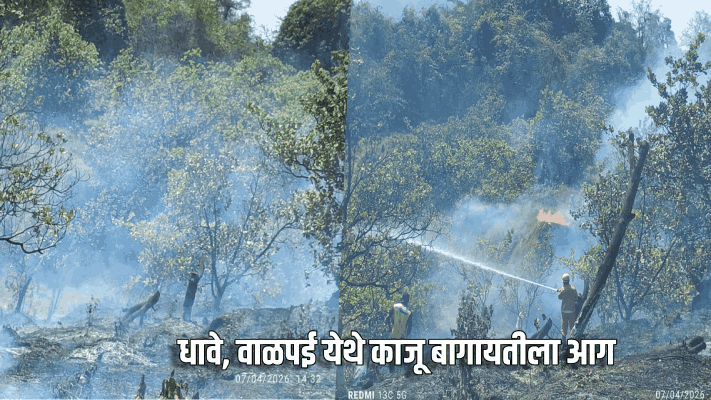 धावे, वाळपई येथे काजू बागायतीला आग; ५० हजार रुपयांचे नुकसान