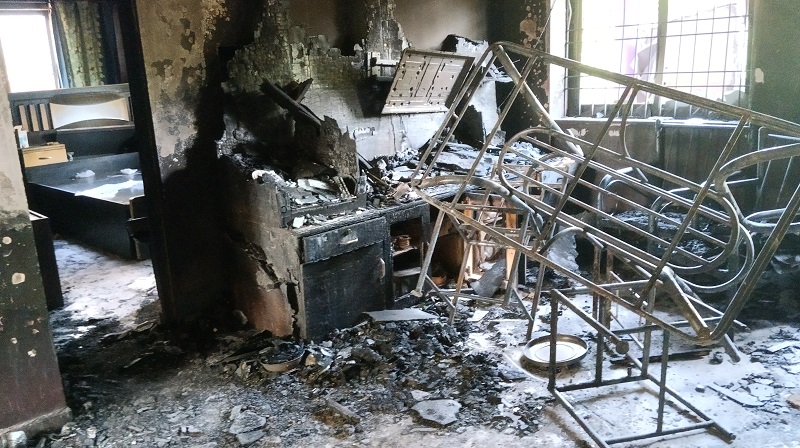 घराला आग लागताच पाळीव कुत्र्याने मध्यरात्री उठवले घरमालकाला, कुटुंबाचा वाचला जीव