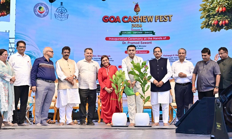 राज्यात लवकरच काजू मंडळाची स्थापना