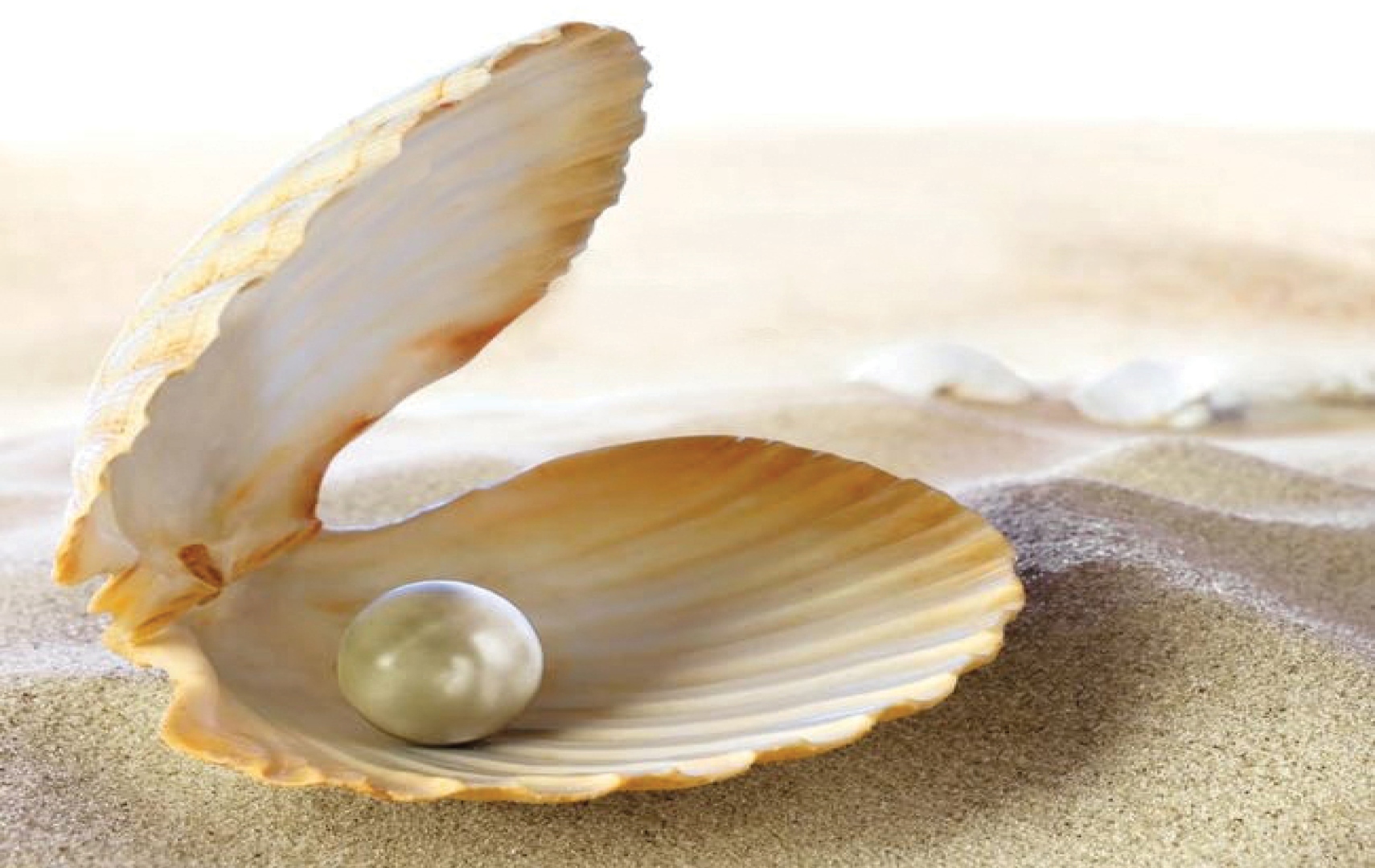 मोती : निसर्गाचे मौल्यवान वरदान