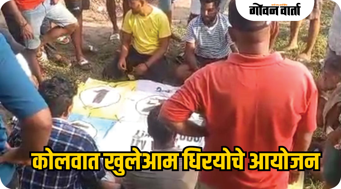 कोलवात खुलेआम धिरयोचे आयोजन