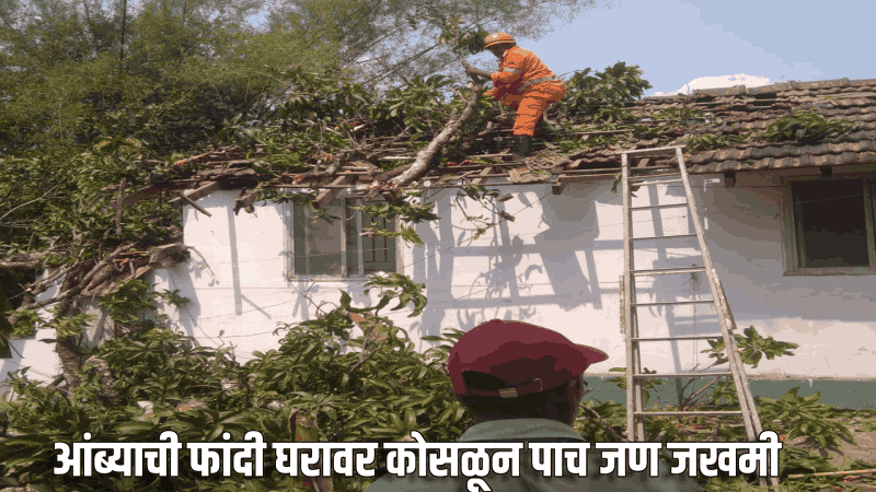 आंब्याची फांदी घरावर कोसळून पाच जण जखमी