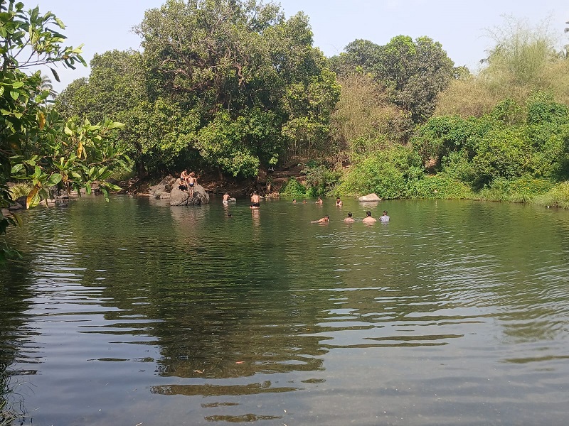 गोवा : धोकादायक ठिकाणी पोहायला जाऊ नका!