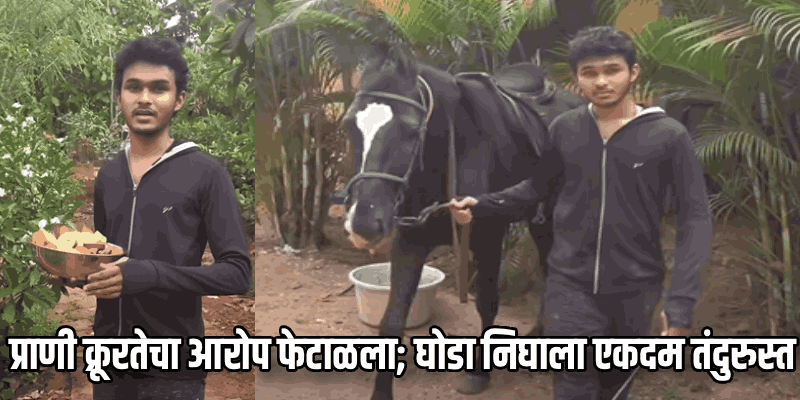 घोड्यावरून रस्त्यावर फेरफटका मारला म्हणून झाली पोलीस तक्रार, त्यावरच स्वार होत स्थानकात हजर