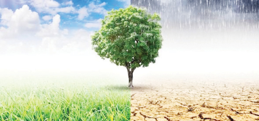 हवामान बदल  एक कठोर वास्तव