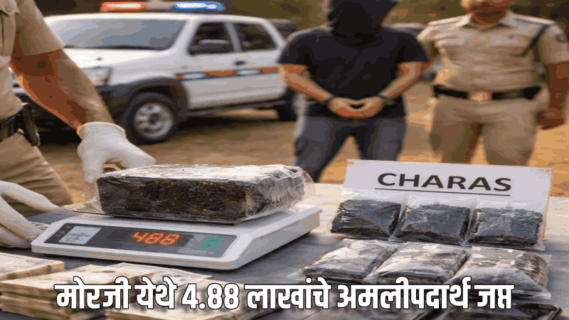 मोरजी येथे ४.८८ लाखांचे अमलीपदार्थ जप्त
