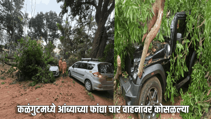 कळंगुटमध्ये आंब्याच्या फांद्या चार वाहनांवर कोसळल्या; १० लाखांचे नुकसान‍