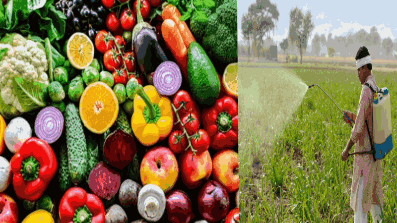 कीटकनाशकांच्या अंशामुळे फळे-भाज्या खाल्ल्याने कर्करोगाचा धोका :  नव्या संशोधनातील निष्कर्ष