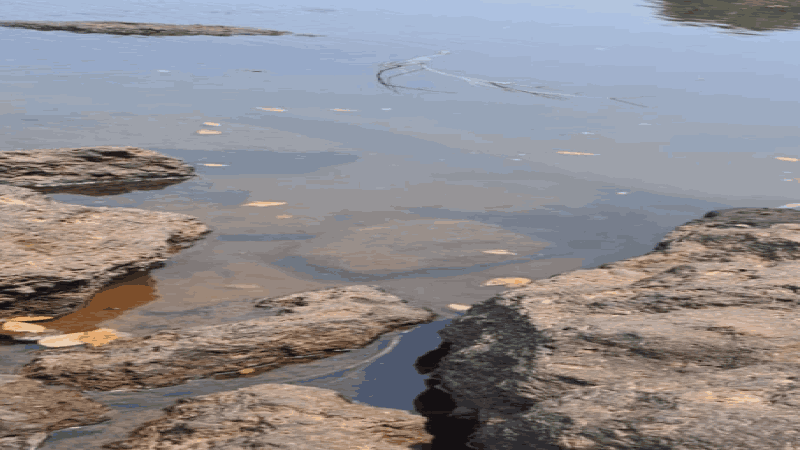 दुर्दैवी घटना, भाटपाल-काणकोण येथे दोन चिमुकल्यांचा बुडून मृत्यू!