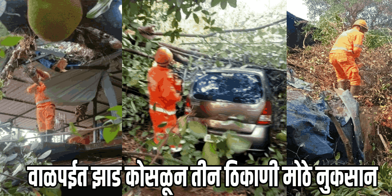 वाळपईत झाड कोसळून तीन ठिकाणी मोठे नुकसान