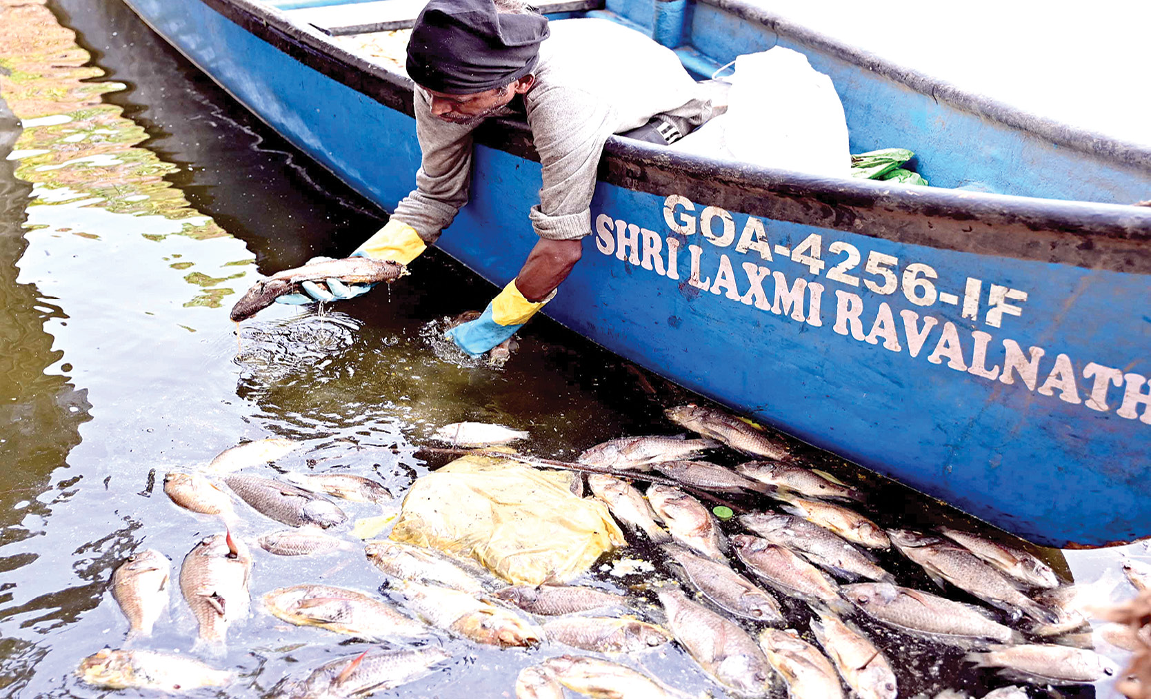 प्रशासकीय अनास्था की पर्यावरणीय संकट ?