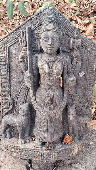 वाघ्रो : लोकसंचित