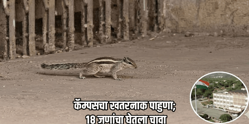 उदयपूरच्या विद्यापीठात खारुताईचा कहर!