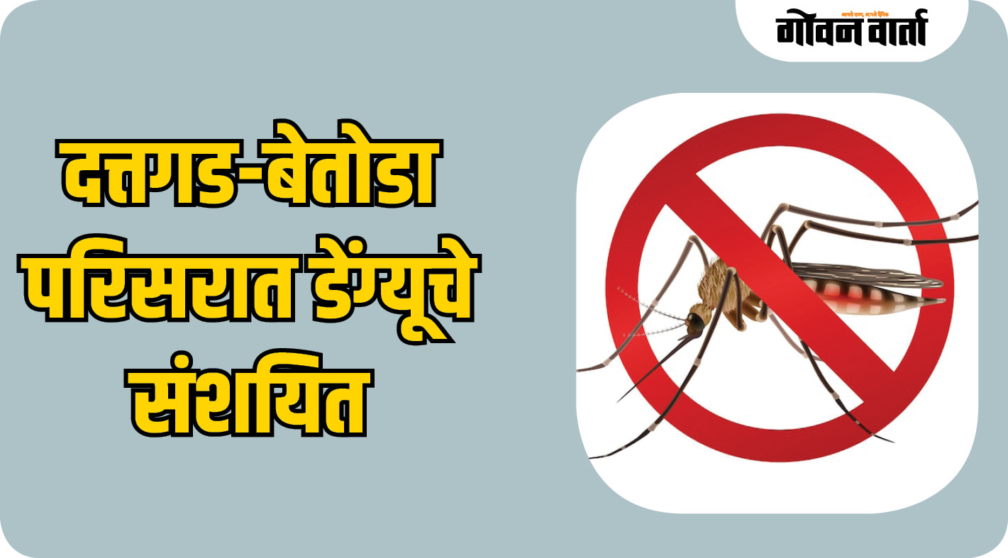 दत्तगड-बेतोडा परिसरात डेंग्यूचे संशयित