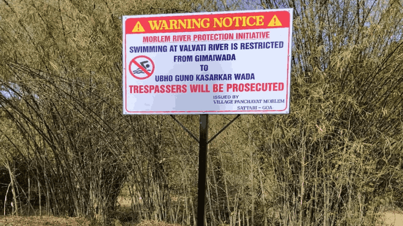मोर्ले "उभो गुणो" नदीपात्रात आंघोळीवर बंदी