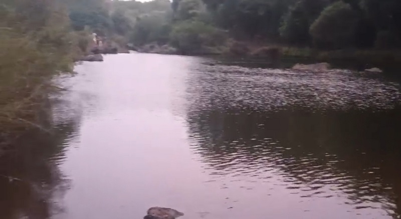 ओकांब-धारबांदोडा येथील दूधसागर नदीत विद्यार्थी बुडाला