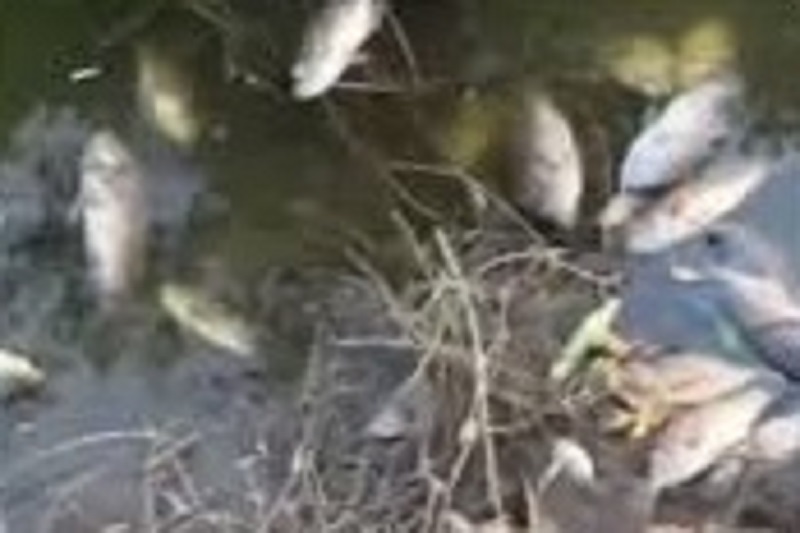 मळा तलाव परिसरातील सात घरांतून होणारे मलनिस्सारण बंद
