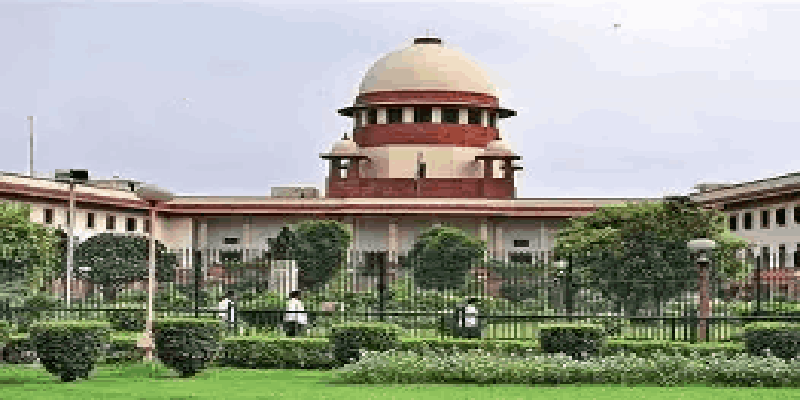 सार्वजनिक ठिकाणांवरून भटके कुत्रे हटवण्याचा सर्वोच्च न्यायालयाचा आदेश कायम