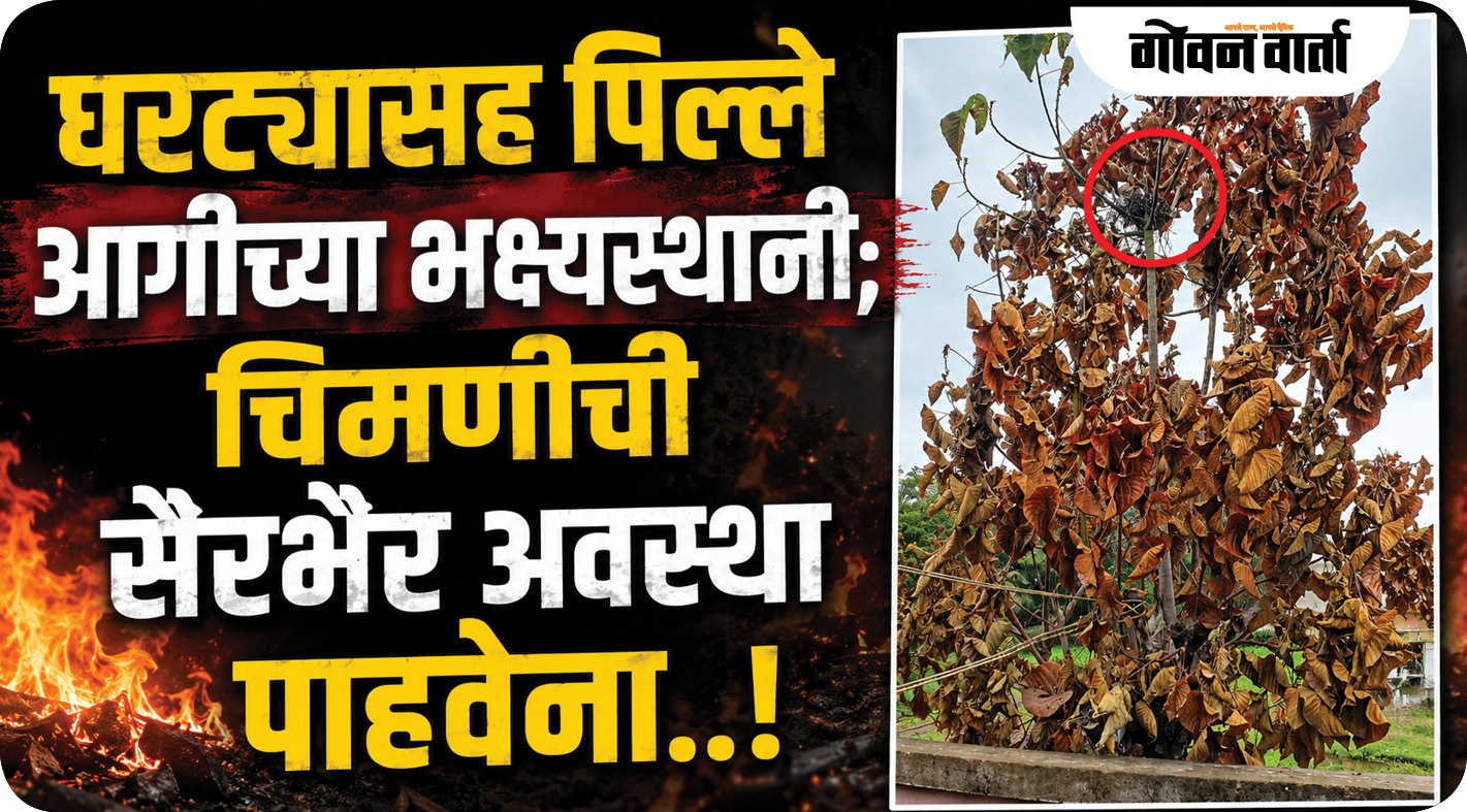 घरट्यासह पिल्ले आगीच्या भक्ष्यस्थानी; चिमणीची सैरभैर अवस्था पाहवेना..!
