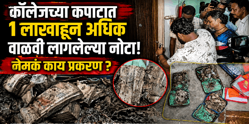 कोलकात्यात कॉलेज युनियनच्या खोलीत सापडल्या वाळवी लागलेल्या नोटा!