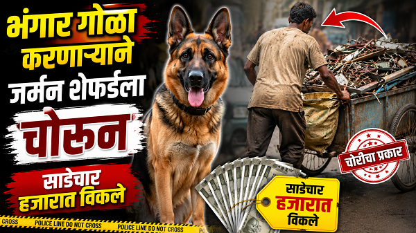 जर्मन शेफर्ड कुत्र्याची चोरी, साडेचार हजाराला विक्री
