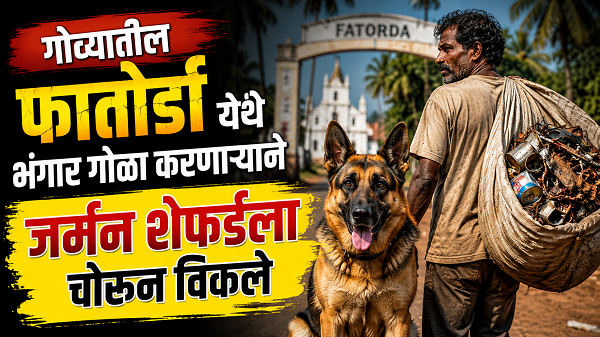 जर्मन शेफर्ड कुत्र्याची चोरी, साडेचार हजाराला विक्री