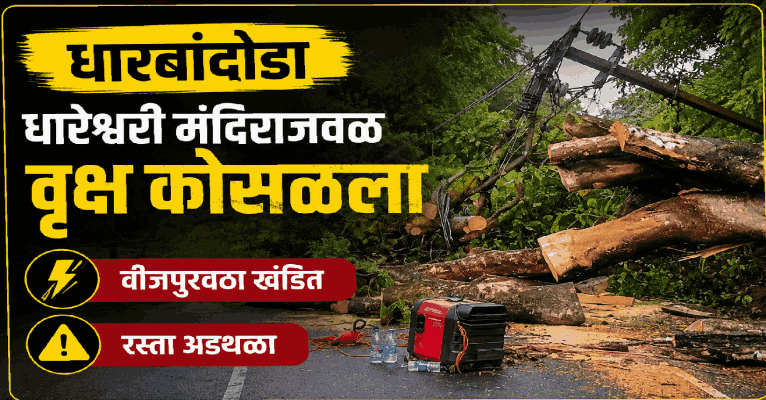 धारबांदोडा येथे धारेश्वरी मंदिराजवळ वृक्ष कोसळल्याने अडथळा; वीजपुरवठा खंडित
